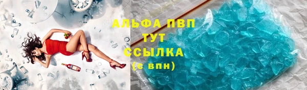прущие грибы Арсеньев