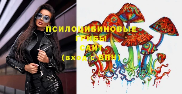 прущие грибы Арсеньев